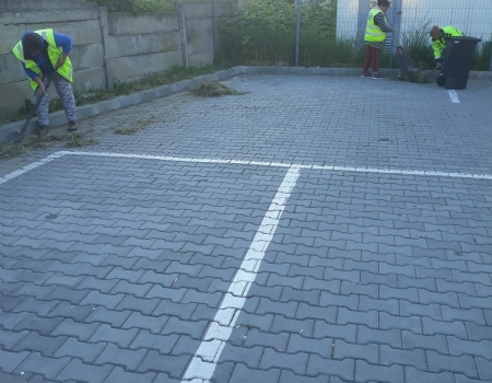 Actiuni de igienizare UAT Alesd