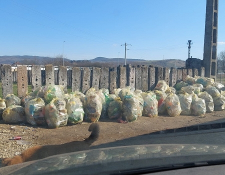 ASISTATII SOCIALI - au venit la MUNCĂ!